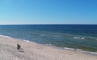 Grzybowo zachód - 28-04-2026 13:40