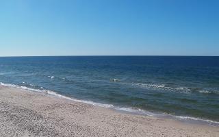 Grzybowo zachód - 28-04-2026 14:11