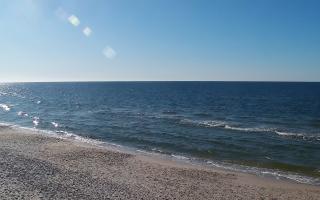 Grzybowo zachód - 28-04-2026 15:37