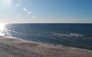 Grzybowo zachód - 28-04-2026 16:07