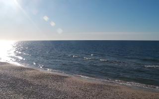 Grzybowo zachód - 28-04-2026 16:15