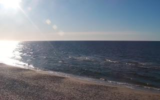 Grzybowo zachód - 28-04-2026 16:30