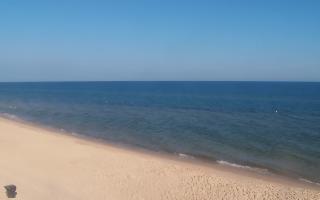 Grzybowo zachód - 16-07-2026 06:01