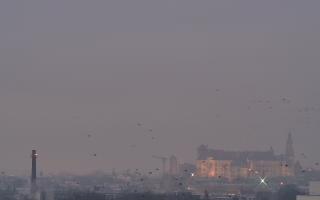 Kraków - rondo Mogilskie - 16-12-2025 06:07