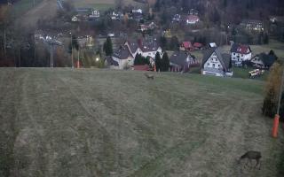 Wisła Cieńków - dolna stacja - 02-11-2025 05:06