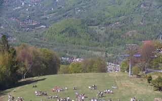 Ustroń Czantoria - 03-05-2026 13:12