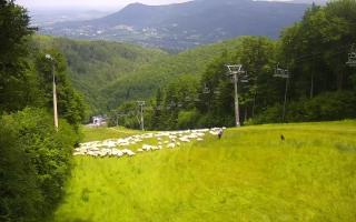 Poniwiec ski Ustroń - 17-06-2025 11:08