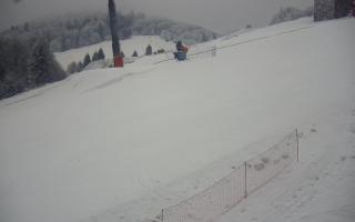 Poniwiec ski Ustroń - 01-02-2026 12:52