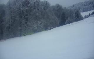 Poniwiec ski Ustroń - 01-02-2026 14:59