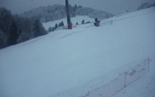 Poniwiec ski Ustroń - 01-02-2026 15:35