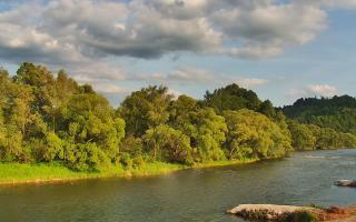 Sromowce Wyżne Flisacy przystań - 17-06-2025 16:16