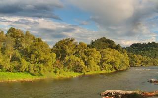 Sromowce Wyżne Flisacy przystań - 02-08-2025 16:11
