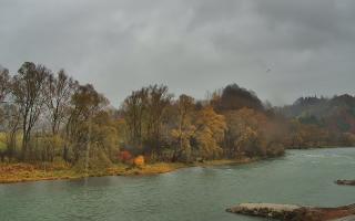 Sromowce Wyżne Flisacy przystań - 03-11-2025 10:50