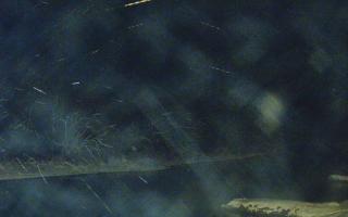 Sromowce Wyżne Flisacy przystań - 24-11-2025 19:17