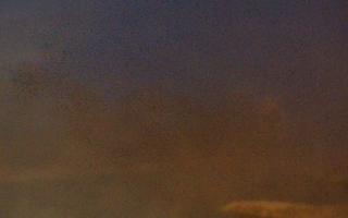 Sromowce Wyżne Flisacy przystań - 22-03-2026 03:48