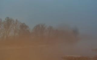 Sromowce Wyżne Flisacy przystań - 22-03-2026 04:19