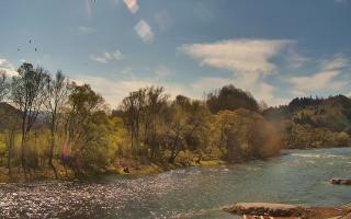 Sromowce Wyżne Flisacy przystań - 23-04-2026 07:59