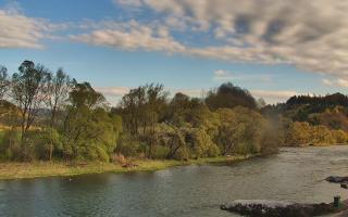 Sromowce Wyżne Flisacy przystań - 28-04-2026 15:19