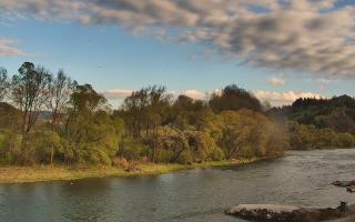 Sromowce Wyżne Flisacy przystań - 28-04-2026 16:12