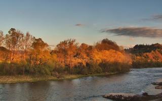 Sromowce Wyżne Flisacy przystań - 28-04-2026 17:13