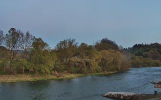 Sromowce Wyżne Flisacy przystań - 28-04-2026 18:06