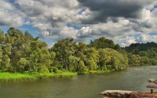 Sromowce Wyżne Flisacy przystań - 04-07-2026 14:06