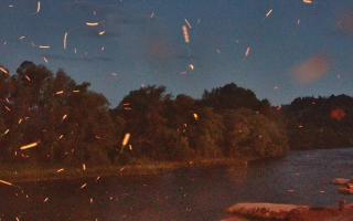 Sromowce Wyżne Flisacy przystań - 18-07-2026 19:24