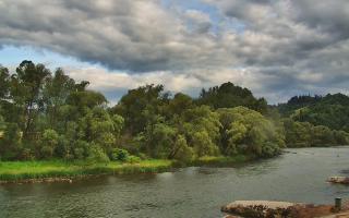 Sromowce Wyżne Flisacy przystań - 21-07-2026 15:38