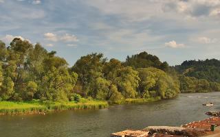 Sromowce Wyżne Flisacy przystań - 01-08-2026 14:02