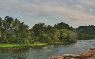 Sromowce Wyżne Flisacy przystań - 01-08-2026 15:33