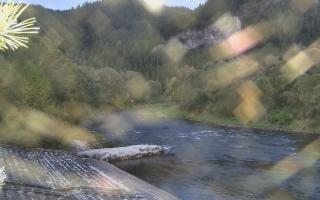 Sromowce Wyżne Flisacy - 17-09-2025 17:06