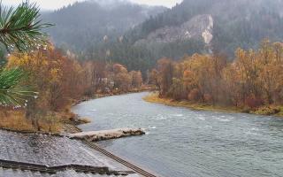 Sromowce Wyżne Flisacy - 03-11-2025 10:50