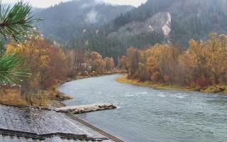 Sromowce Wyżne Flisacy - 03-11-2025 11:05