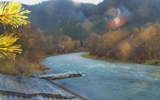 Sromowce Wyżne Flisacy - 03-11-2025 14:53