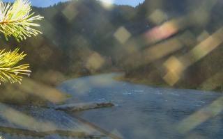 Sromowce Wyżne Flisacy - 03-11-2025 15:23