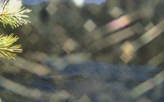 Sromowce Wyżne Flisacy - 03-11-2025 15:31