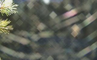 Sromowce Wyżne Flisacy - 03-11-2025 15:39