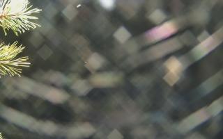 Sromowce Wyżne Flisacy - 03-11-2025 15:46