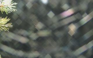 Sromowce Wyżne Flisacy - 03-11-2025 15:54