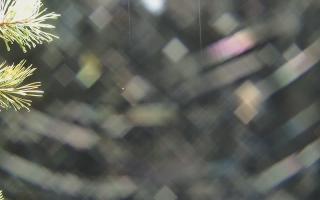 Sromowce Wyżne Flisacy - 03-11-2025 16:01