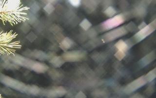 Sromowce Wyżne Flisacy - 03-11-2025 16:09