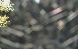 Sromowce Wyżne Flisacy - 03-11-2025 16:32