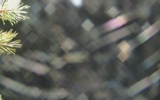 Sromowce Wyżne Flisacy - 03-11-2025 17:02