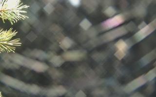 Sromowce Wyżne Flisacy - 03-11-2025 17:10