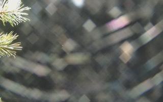 Sromowce Wyżne Flisacy - 03-11-2025 17:25