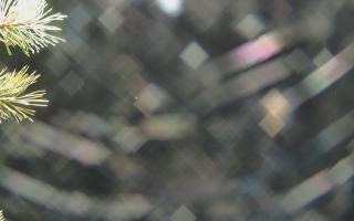 Sromowce Wyżne Flisacy - 03-11-2025 17:33