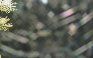 Sromowce Wyżne Flisacy - 03-11-2025 17:48