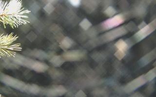 Sromowce Wyżne Flisacy - 03-11-2025 18:26