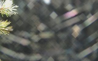 Sromowce Wyżne Flisacy - 03-11-2025 18:33