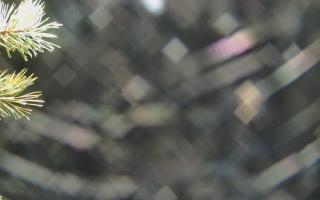 Sromowce Wyżne Flisacy - 03-11-2025 18:49